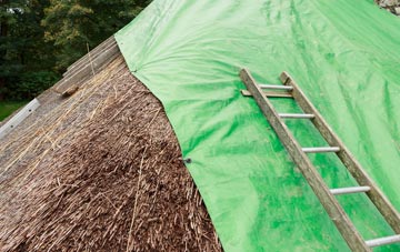 maintaining Nesstoun thatch