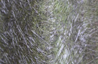 Nesstoun fibreglass roof work