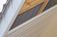 rated Nesstoun soffit repair companies